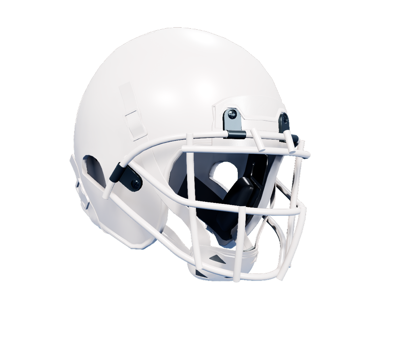 Chicago Wolves helmet